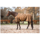 Ein braunes Pferd, das eine sandfarbene Decke trägt, steht auf einer sandigen Fläche, umgeben von herbstlichem Laub.