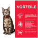 Eine getigerte Katze mit einem roten Halsband sitzt vor einem weißen Hintergrund, neben einem roten Abschnitt, der gesundheitliche Vorteile auflistet.