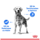 Ein stehender Hund mit verschwommenem Gesicht und blauen Texten: "Begrenzte Gewichtszunahme" und "Hält die Muskelmasse", plus ein Kalorien-Icon.