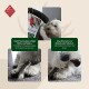 Hund kaut auf einem natürlichen Stock, mit dem Text: "Stärkt die Kaumuskulatur, unterstützt die Zahnpflege und schützt Möbel."