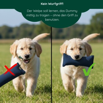 Blaues, mit Romney's Marke versehenes, strapazierfähiges Stoff-Hundespielzeug vor schwarzem Hintergrund.