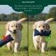 Blaues, mit Romney's Marke versehenes, strapazierfähiges Stoff-Hundespielzeug vor schwarzem Hintergrund.