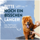 Ein flauschiger Chow Chow wird auf einem Tisch gepflegt, während eine Person sein Fell bürstet. Text: "BITTE NOCH EIN BISSCHEN LÄNGER! Dein Fell-Freund wird es genießen."