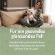 ALPHAZOO Bierhefe-Tabletten für Hunde und Katzen, die Immunität und glänzendes Fell mit Vitaminen B, Folsäure und Biotin fördern.
