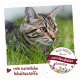 Nahaufnahme einer getigerten Katze im grünen Gras mit dem Text: "WILDE KRÄUTER für ein wurmfreundliches Darmmilieu" und "rein natürliche Inhaltsstoffe."