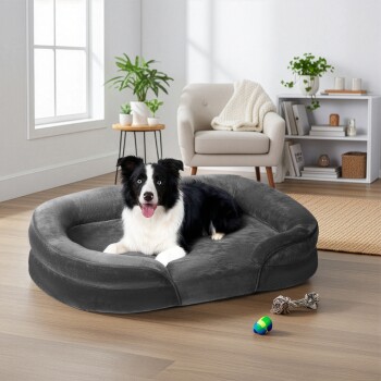 Schwarz-weißer Border Collie liegt auf einem grauen Hundebett in einem hellen Wohnzimmer mit Pflanzen und Spielzeug in der Nähe.