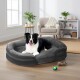 Schwarz-weißer Border Collie liegt auf einem grauen Hundebett in einem hellen Wohnzimmer mit Pflanzen und Spielzeug in der Nähe.