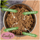 Schüssel mit Haustierfutter, beschriftet mit "Emily's," mit Rindfleisch, nährstoffreich, getreidefrei und Proteinquelle, mit beschreibenden Pfeilen, die auf jedes Merkmal zeigen.