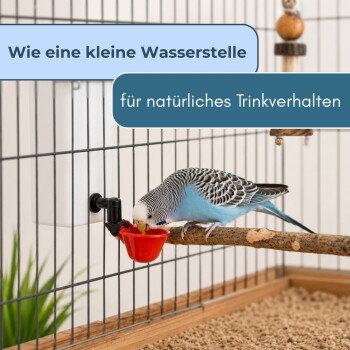 Blauer Wellensittich trinkt aus einem roten Napf auf einer Sitzstange im Käfig; Bannertext „Wie eine kleine Wasserstelle“.