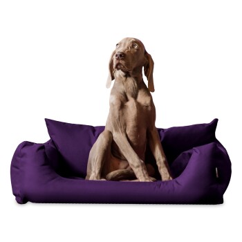 Tierlando NEMO Hundebett Hundesofa S M L Hundekorb Katzenbett 65 80 100cm lila 80 cm, 22 cm, 60 cm