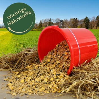 Roter Eimer umgekippt, der Haustierfutter auf Stroh verschüttet, mit einem grünen runden Etikett mit der Aufschrift "Wichtige Nährstoffe" im Hintergrund.