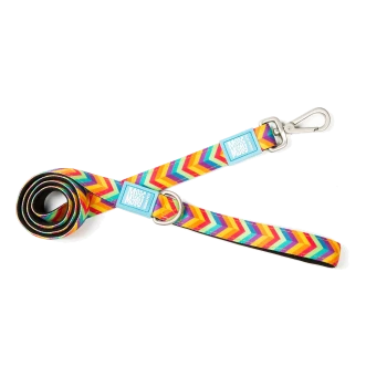 Bunte Hundeleine mit Chevron-Muster, Metallclip und blauen „Max and Molly“-Anhängern auf weißem Hintergrund.