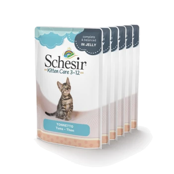 Schesir Kitten Care zakjes met een speelse tabby kitten, gelabeld "Tonnette Tuna - Thon," met de tekst "compleet & gebalanceerd in jelly."