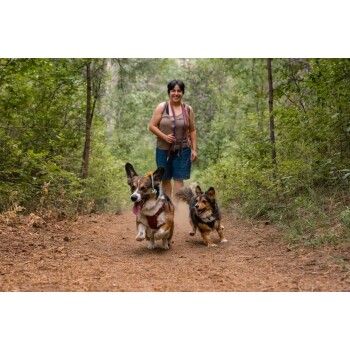 Eine Frau geht auf einem Waldweg mit zwei verspielten Hunden, einem Corgi und einem kleinen Mischlingshund, umgeben von Grün.