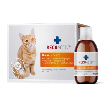 RECOACTIV® NierenTonicum für Katzen, geeignet bei Niereninsuffizienz, stimuliert die Nährstoffaufnahme. 90 ml flüssiges Ergänzungsmittel in einer Flasche.