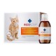 RECOACTIV® NierenTonicum für Katzen, geeignet bei Niereninsuffizienz, stimuliert die Nährstoffaufnahme. 90 ml flüssiges Ergänzungsmittel in einer Flasche.