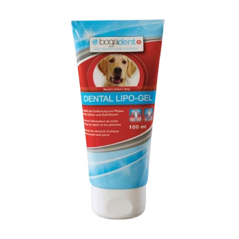Tube mit bogadent Dental Lipo-Gel für Hunde, 100 ml, mit einem Labrador Retriever auf dem Etikett und Text in mehreren Sprachen über die Entfernung von Plaque.