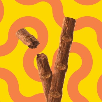 Drei Hundekau-Sticks auf einem leuchtend gelben und orangefarbenen gewellten Hintergrund, wobei ein Stick in der Mitte zerbrochen ist.