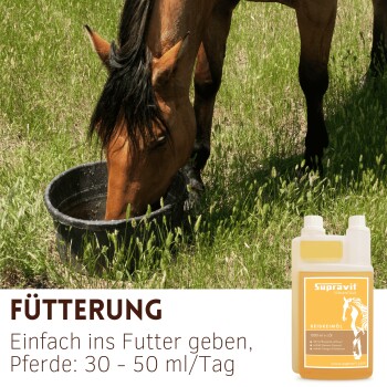 Palomino-Pferd läuft im Gras mit einer Flasche Supravit Pferdeöl und deutschem Text über hohe Bioverfügbarkeit.