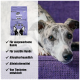 Ein Greyhound ruht auf einer lila Couch neben einer Tüte "eat SMALL Balance" Tiernahrung, die für erwachsene und empfindliche Hunde geeignet ist.