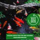 Bunte Koi-Fische in einem dunklen Teich mit einem grünen Banner, auf dem "SOLIDES KOIFUTTER" steht, und einem runden "365 DAYS"-Logo.