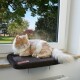 Eine flauschige orange-weiße Katze, die friedlich auf einer braunen Fensterbank ruht, mit einem malerischen Blick auf die Bäume draußen.