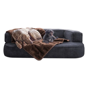 Ein großer grauer Hund und ein kleiner schwarzer Hund ruhen sich auf einer dunkelgrauen Couch aus, die mit einer braunen Decke bedeckt ist.