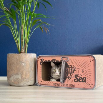 Eine neugierige grau-weiße Katze schaut aus einem sardinenförmigen Haustierbett mit der Aufschrift "Sardinen aus dem Meer" heraus, mit einem Nettogewicht von 3,75 oz.