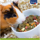 Een close-up van een oranje en zwarte cavia die nieuwsgierig naar een kom kleurrijke huisdiervoeding kijkt, met het Vitakraft-logo in de hoek.