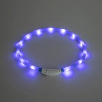 LED-Haustierhalsband mit blauen Lichtern und einem weißen Steuerknopf, entworfen für Sichtbarkeit bei nächtlichen Spaziergängen.