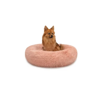 Ein flauschiger Pomeranian-Hund sitzt bequem in einem runden, weichen, rosa Haustierbett.