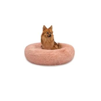Ein flauschiger Pomeranian-Hund sitzt bequem in einem runden, weichen, rosa Haustierbett.
