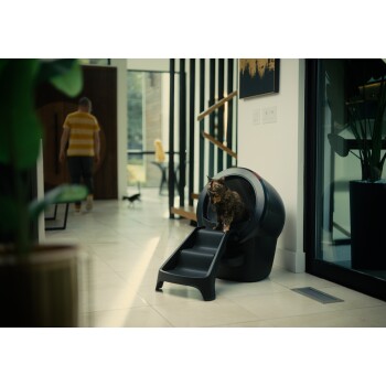 Eine Schildpattkatze sitzt auf den Stufen einer modernen schwarzen Katzentoilette in einem hellen, stilvollen Zuhause, während eine Person in einem gestreiften Hemd weggeht.