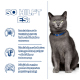 Eine graue Katze mit grünen Augen in einem blauen Halsband sitzt aufrecht vor einem deutschen Text-Hintergrund über Verdauung, Hautpflege und pH-Balance.