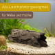 Aquarium mit hohlem Stamm und Wels (Pleco) auf Kies, Pflanzen; deutscher Text: 'Als Laichplatz geeignet – für Welse und Fische'.