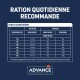 Tableau détaillant les recommandations alimentaires quotidiennes pour les chats, y compris les directives pour la perte de poids, le contrôle du poids et l'entretien en grammes par jour.