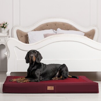 Ein schwarzer Dobermann liegt auf einem burgunderfarbenen Hundebett in einem stilvollen Raum mit einem weißen, verzierten Bett und einer kleinen Blumenvase auf einem Nachttisch.