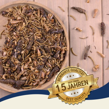Getrocknete gemischte Insekten in einer Holzschale auf einem Tisch, mit einem goldenen Abzeichen mit der Aufschrift „Bewährte Qualität seit über 15 Jahren Best Quality.“