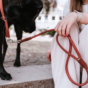 Eine Frau in einem weißen Outfit hält eine braune Leder-Hundeleine, während ihr schwarzer Hund nah heranlehnt, beide auf einer Steinoberfläche im Freien.