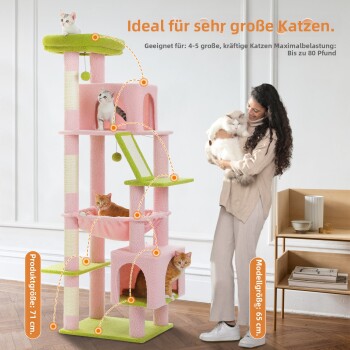 Orange getigerte Katze liegt auf einem grünen, gemütlichen großen Liegeplatz, gefüllt mit hochwertigen Fasern, in einem Zoofachgeschäft.