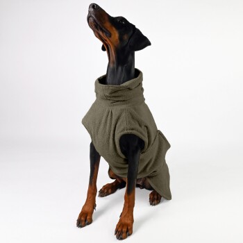 Ein Dobermann, der einen gemütlichen, olivgrünen Fleece-Hundemantel trägt, aufrecht sitzt und nach oben schaut, vor einem schlichten weißen Hintergrund.