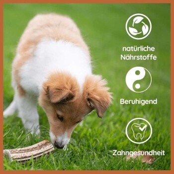 Ein flauschiger Welpe schnüffelt an einem Kauknochen auf grünem Gras, mit Symbolen und Text, die "natürliche Nährstoffe", "Beruhigend" und "Zahngesundheit" hervorheben.