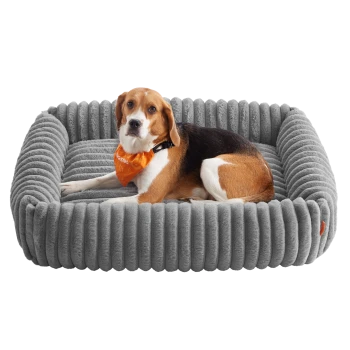 Beagle trägt ein orangefarbenes Halstuch und liegt auf einem grauen, gerippten, plüschigen rechteckigen Haustierbett.