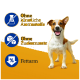 Ein kleiner Hund steht vor einem hellgelben Hintergrund, mit Text, der 'Ohne künstliche Aromastoffe', 'Ohne Zuckerzusatz' und '% Fettarm' angibt.
