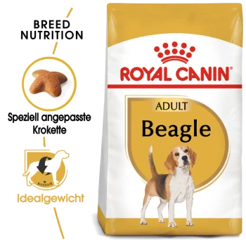 Royal Canin Adult Beagle Hundefuttertasche, die eine rassespezifische Ernährung zeigt, mit hervorgehobenem Futterform und dem Symbol "Idealgewicht."