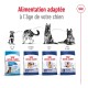 SHN Maxi Adult 5+ 4 kg