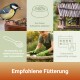 Kohlmeise frisst Samen aus einem Futterspender, Tipps zum Füttern und Reinigen von Vogelhäuschen, Text auf Deutsch "Empfohlene Fütterung".