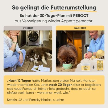 Werbung für Hundefutter mit einem Tierarzt, der einen kleinen Hund hält, mit Text, der Vorteile für die Verdauung, Gelenkgesundheit und Haut hervorhebt.