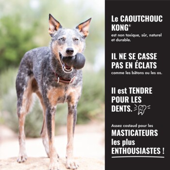 Chien tenant un jouet KONG noir ; panneau publicitaire affiche le texte français « Le CAOUTCHOUC KONG » et « Il ne se casse pas en éclats. »