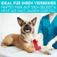 Ein glücklicher Hund mit einem roten Verband an seiner Pfote liegt auf einem Tisch, während eine Person in blauen Kitteln ihn anlegt. Der Text darüber lautet: "IDEAL FÜR IHREN VIERBEINER..."